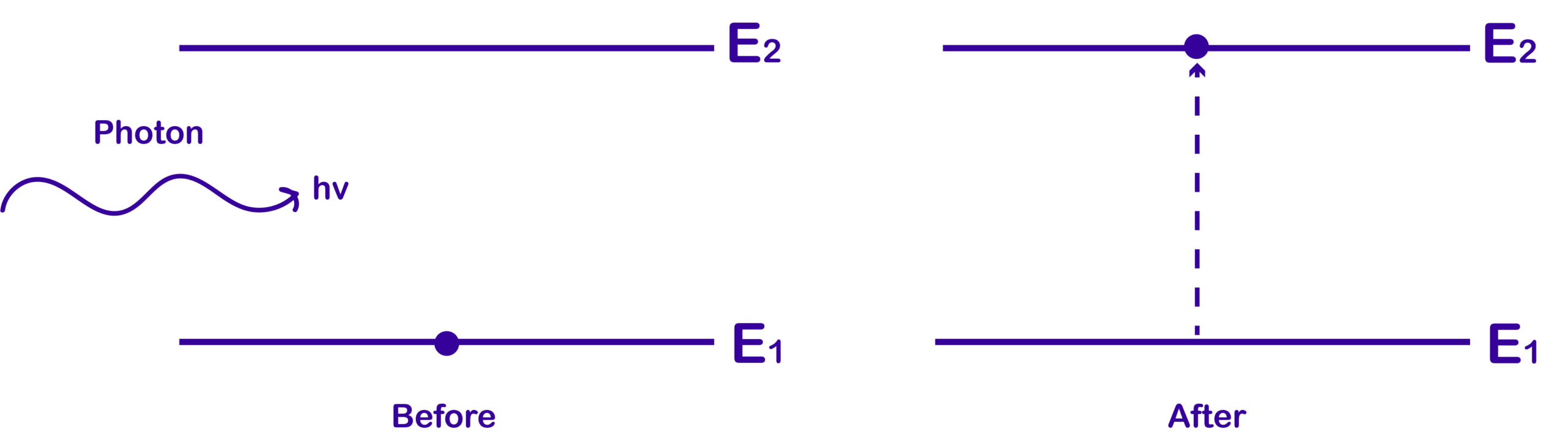 उद्दीपित अवशोषण